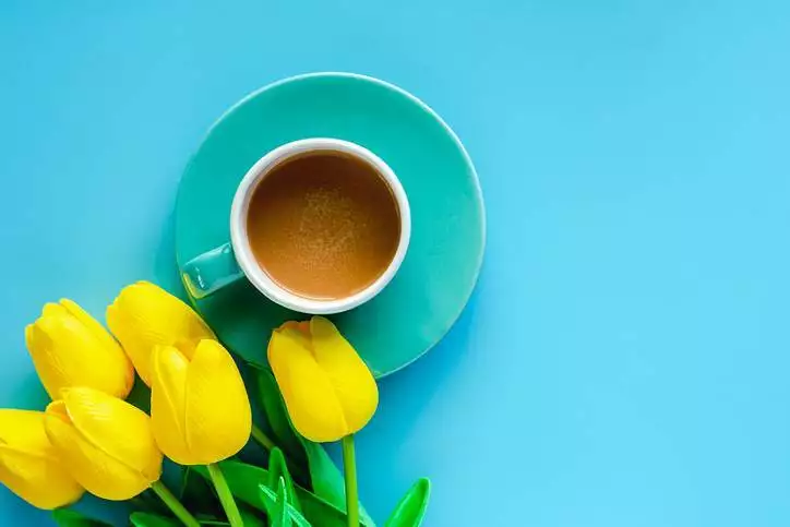 Cup of coffee with saucer and artificial yellow tulips on blue background for drinks and beverage concept