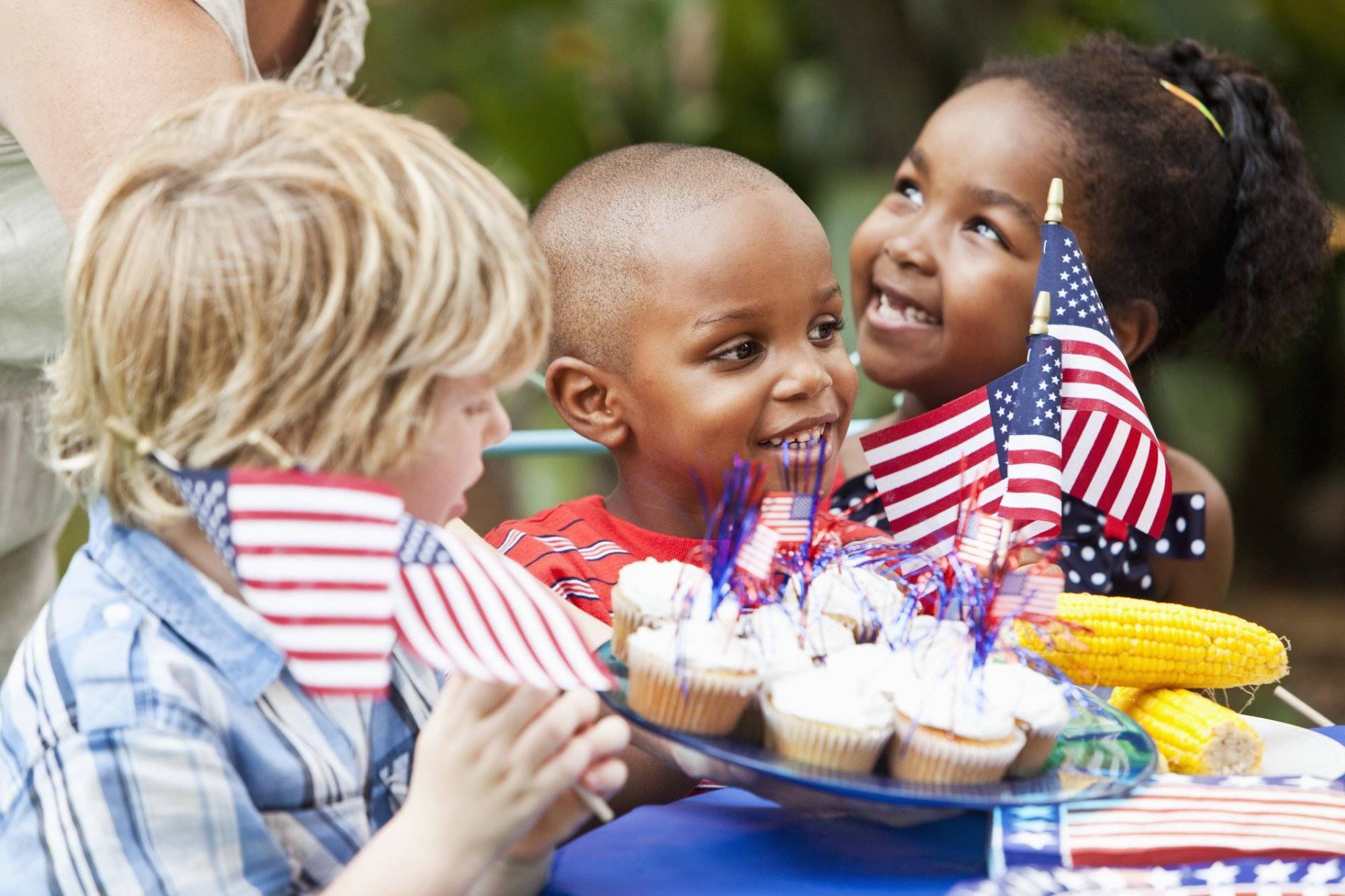 July 4th or Memorial Day picnic celebration